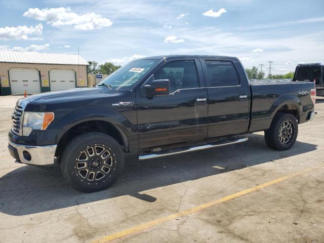 Vin: 1ftfw1ev5afa74161, lot: 55380395, ford f-150 supercrew 2010 img_1