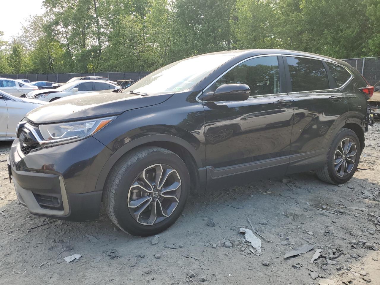 HONDA CR-V EX