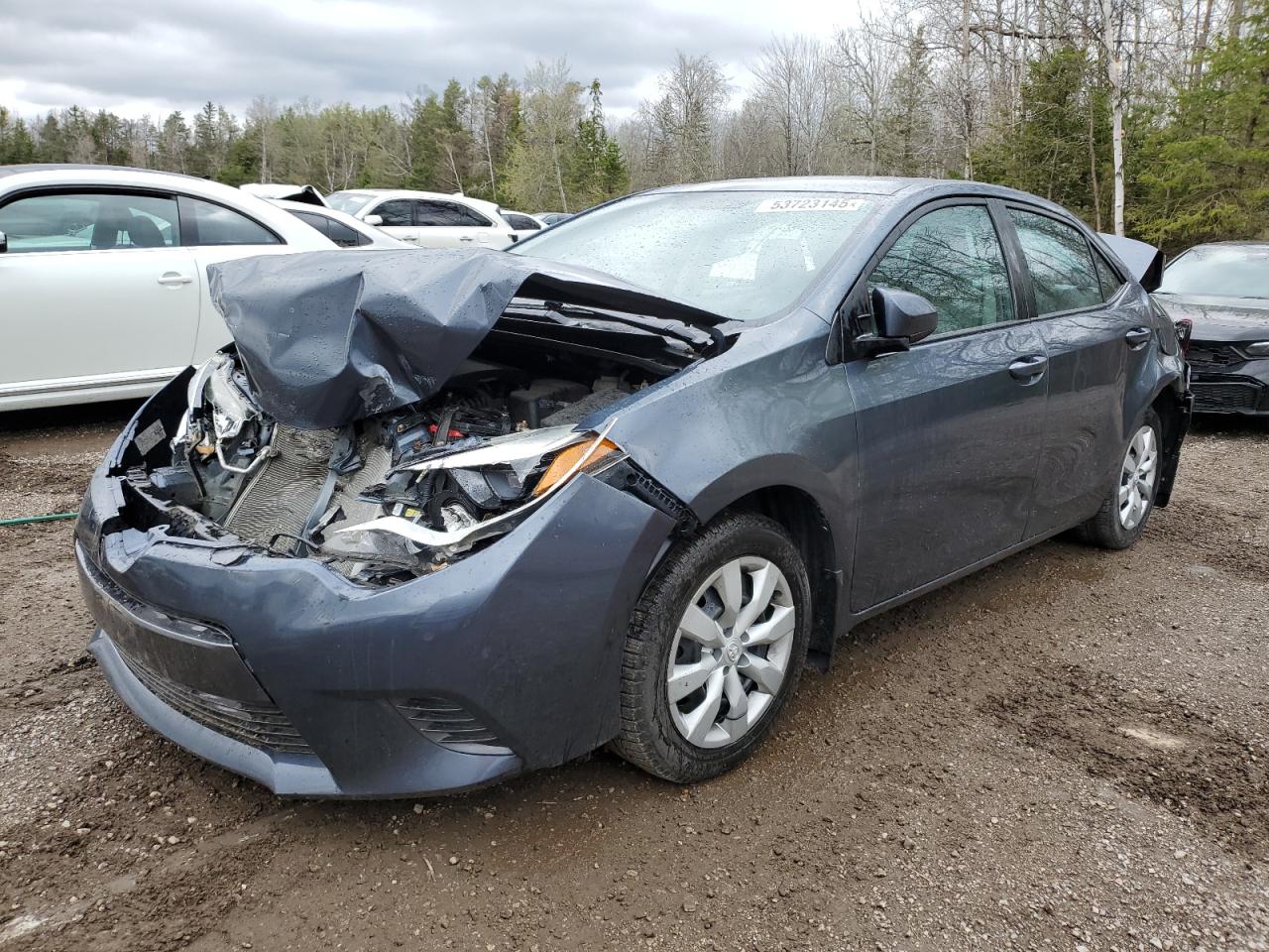 TOYOTA COROLLA L
