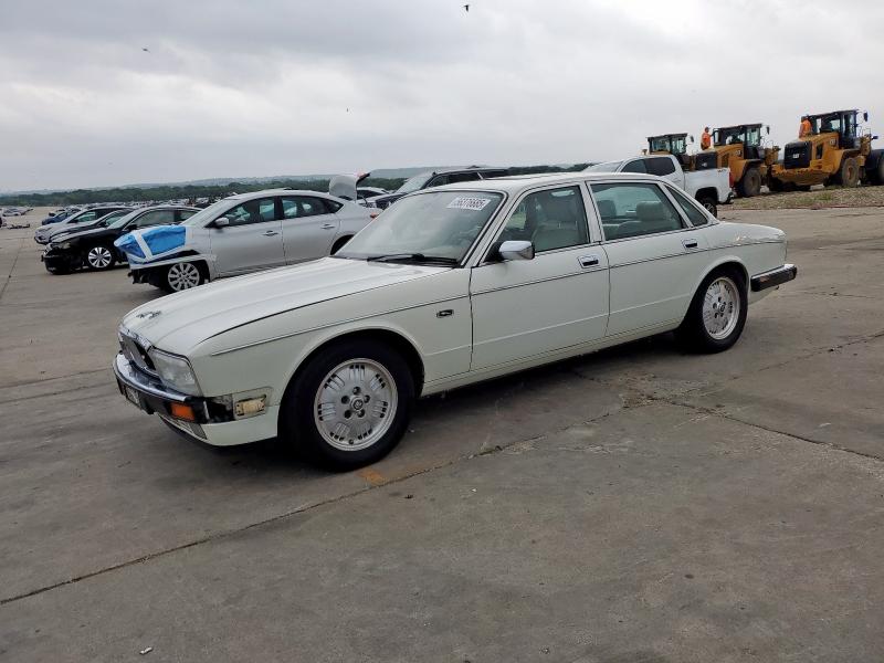 JAGUAR VANDENPLAS