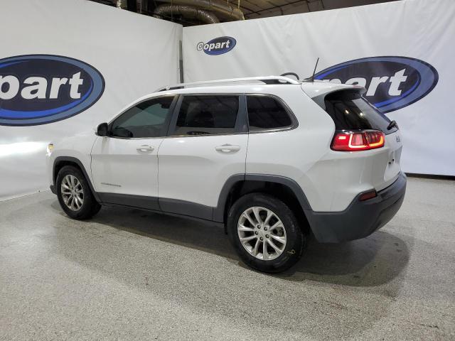 2019 JEEP CHEROKEE L - 1C4PJLCB2KD215403