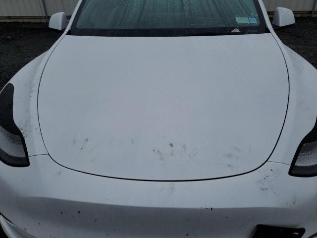 2023 TESLA MODEL Y 7SAYGDEEXPA158674