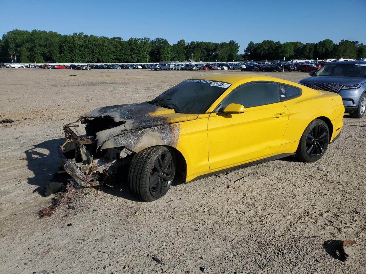 FORD MUSTANG