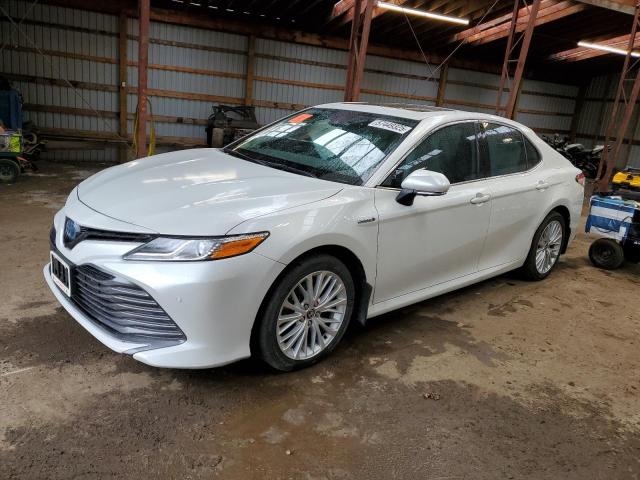 Vin: 4t1b21hk9lu015085, lot: 57449325, toyota camry xle 2020 img_1