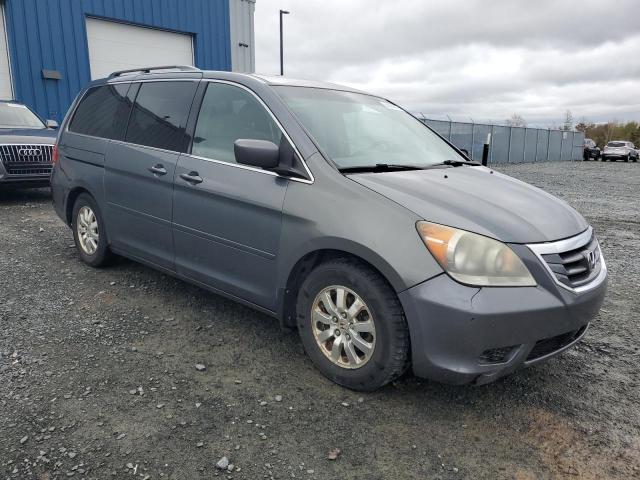 Vin: 5fnrl3h63ab502836, lot: 58384875, honda all models exl 20104