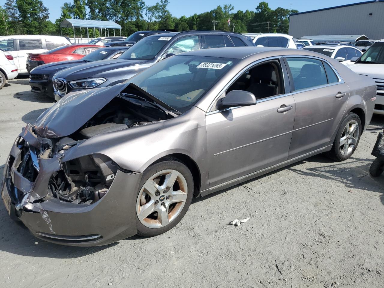 CHEVROLET MALIBU 1LT