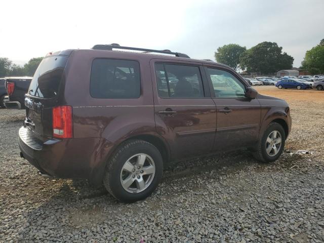 Vin: 5fnyf3h62bb036045, lot: 56520925, honda pilot exl 20113
