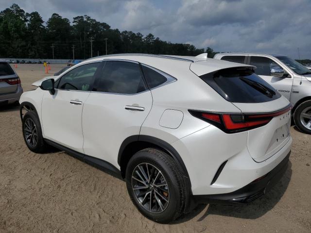 2024 LEXUS NX 250 PRE JTJGDCAZ0R2014142