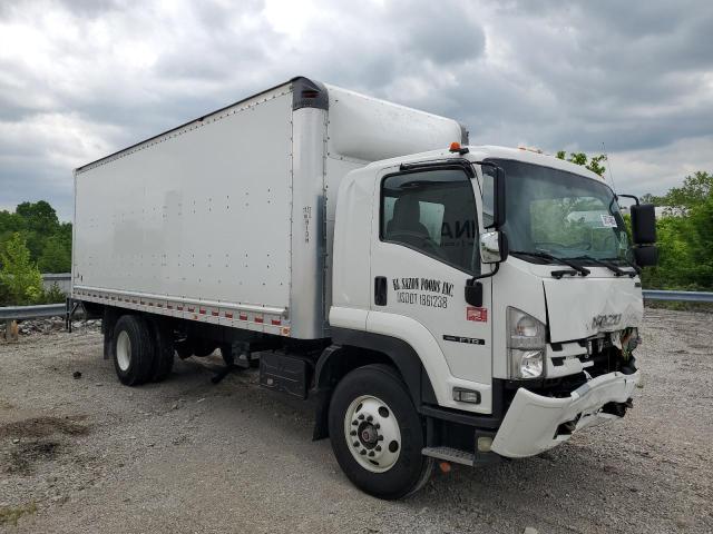 ISUZU FTR