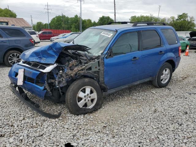 Vin: 1fmcu0d70bkc22761, lot: 56658645, ford escape xlt 2011 img_1