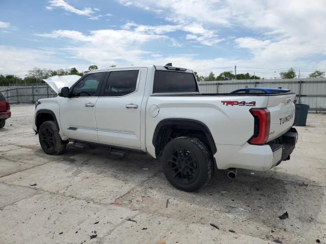 2024 TOYOTA TUNDRA CRE - 5TFMA5DB3RX148400