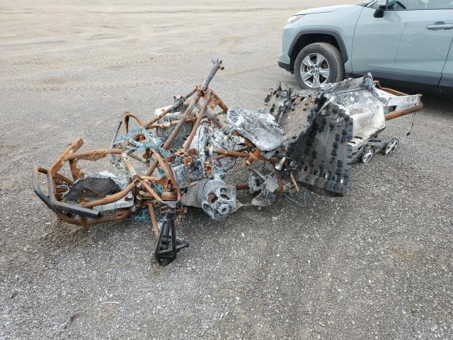 ARCT BEARCAT 2019 4UF19SNW7KT100612 photo #3