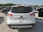 Lot #3303073759 2014 FORD ESCAPE SE
