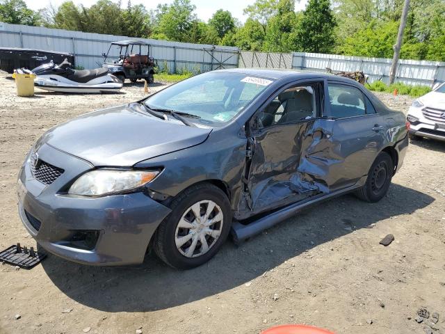 Vin: 2t1bu4eexac519279, lot: 56469655, toyota corolla base 2010 img_1