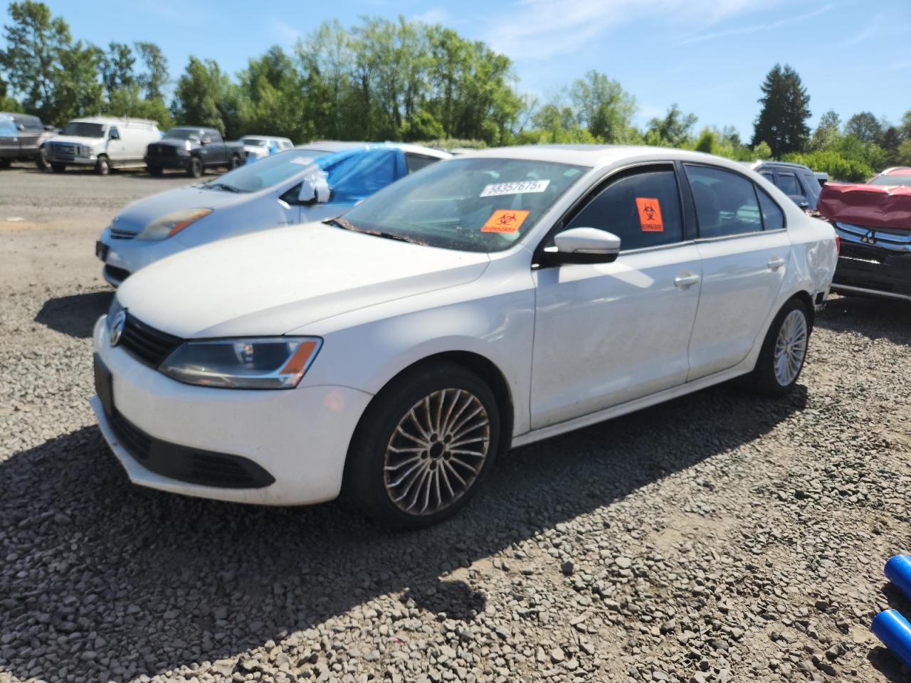 VOLKSWAGEN JETTA SE