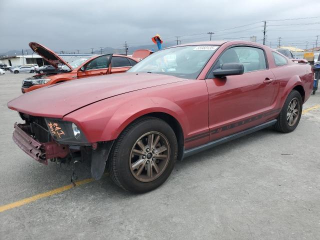 FORD MUSTANG 2005 red  gas 1ZVHT80N055258160 photo #1