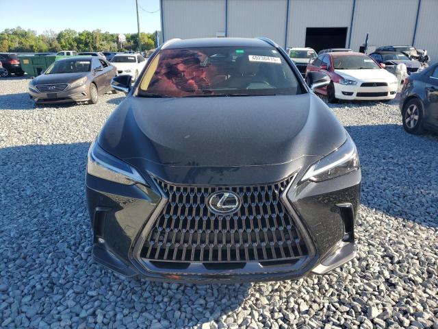 2025 LEXUS NX 250 BAS 2T2ADCAZ0SC017635