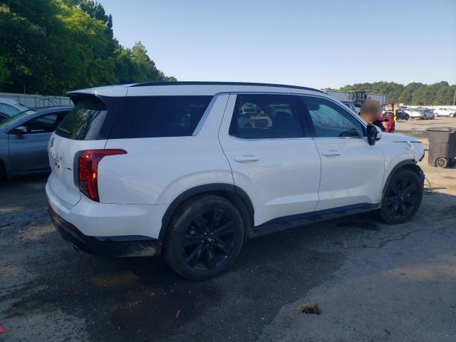 2025 HYUNDAI PALISADE X KM8R3DGE4SU840703
