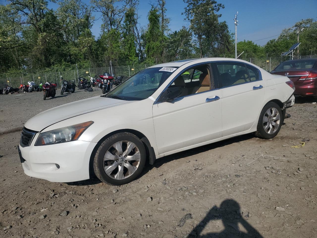 HONDA ACCORD EXL