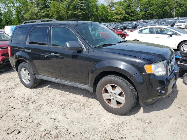 2011 FORD ESCAPE XLT - 1FMCU9DGXBKA90337