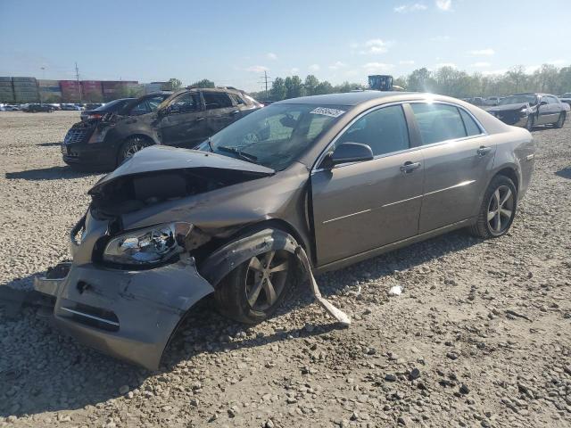 Vin: 1g1zc5e1xbf353982, lot: 55956425, chevrolet malibu 1lt 2011 img_1