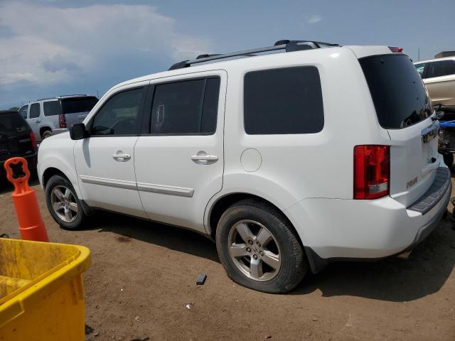HONDA PILOT EXL 2009 5FNYF48629B041908 photo #3