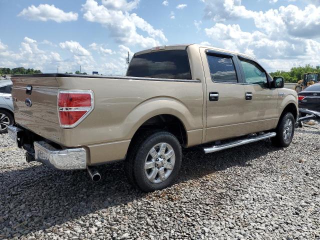 Vin: 1ftew1cm7dkg38281, lot: 55798635, ford f-150 supercrew 20133