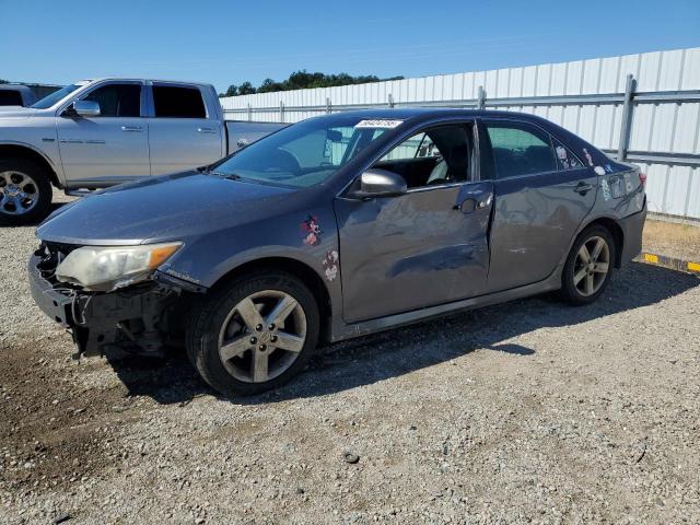 Vin: 4t1bf1fk8du229056, lot: 56424755, toyota camry l 2013 img_1