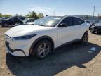 2023 FORD MUSTANG MA - 3FMTK1S56PMA81630
