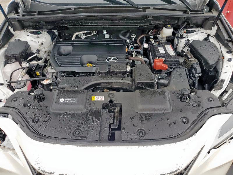 2024 LEXUS NX 250 PRE JTJGDCAZ1R5015072