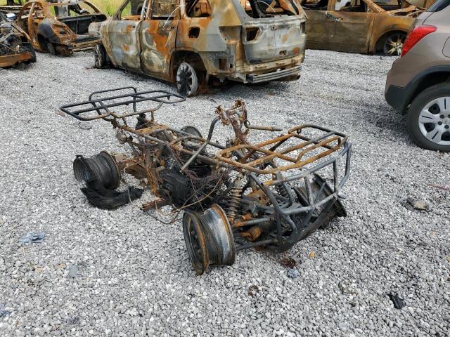 HONDA TRX400 FA 2004 478TE290X44014914 photo #1