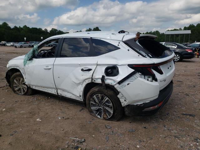 Vin: km8jbca14pu131888, lot: 57106165, hyundai tucson blue 20232