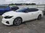 2019 NISSAN MAXIMA S - 1N4AA6AV6KC370679