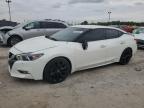 2017 NISSAN MAXIMA 3.5 - 1N4AA6AP8HC436031