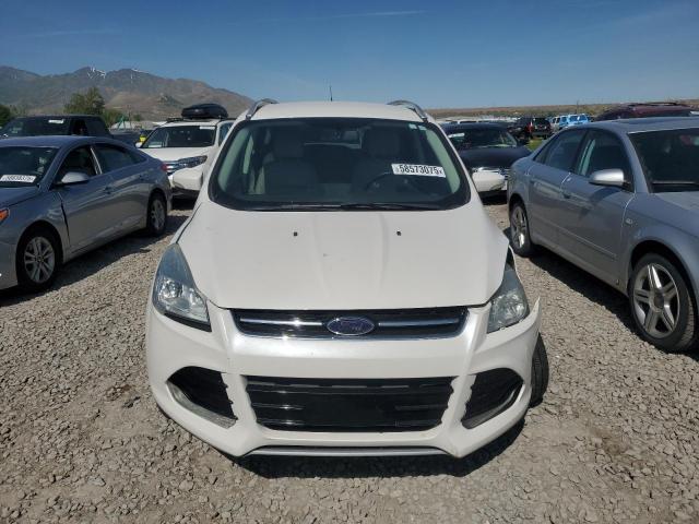 2014 FORD ESCAPE TIT - 1FMCU0JX6EUC68267