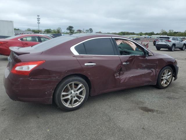 Vin: 1n4aa5apxbc833631, lot: 57619135, nissan maxima s 20113