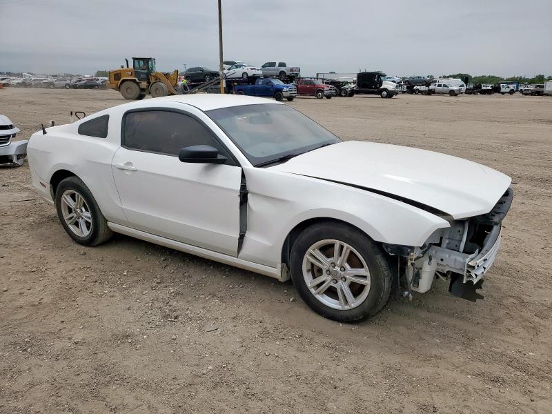 2013 FORD MUSTANG - 1ZVBP8AM1D5279002