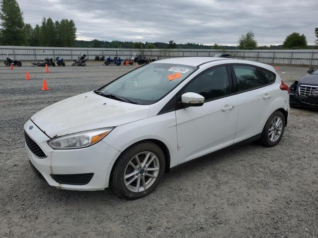 Vin: 1fadp3k23fl307236, lot: 55972565, ford focus se 2015 img_1