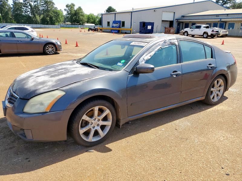 NISSAN MAXIMA SE