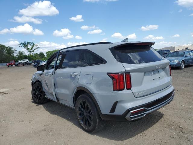 Vin: 5xyrkdlf9pg210738, lot: 57117325, kia sorento sx 20232
