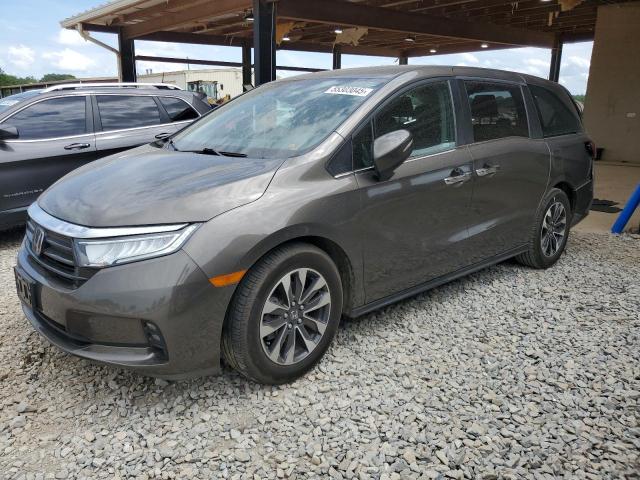 Vin: 5fnrl6h77nb052222, lot: 55303045, honda all models exl 2022 img_1