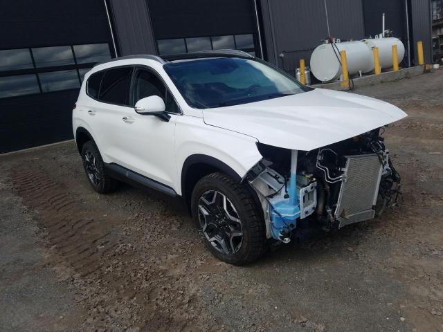 Vin: km8s7da24nu044736, lot: 56739455, hyundai santa fe limited 20224