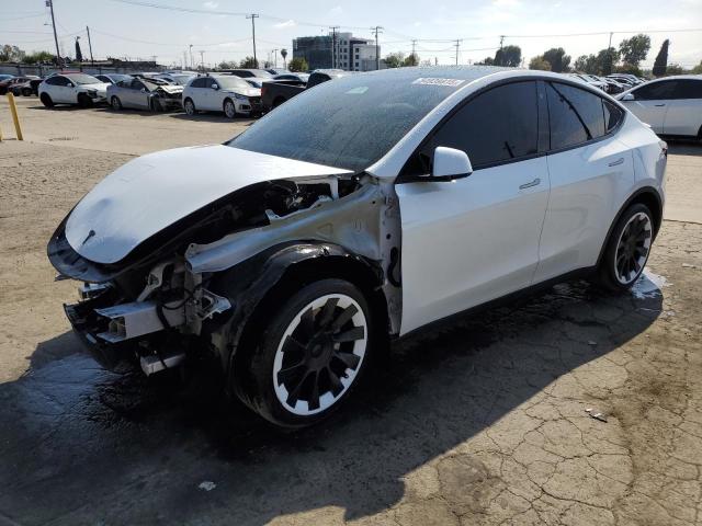 Vin: 7saygdee1pa125692, lot: 54939815, tesla model y 2023 img_1