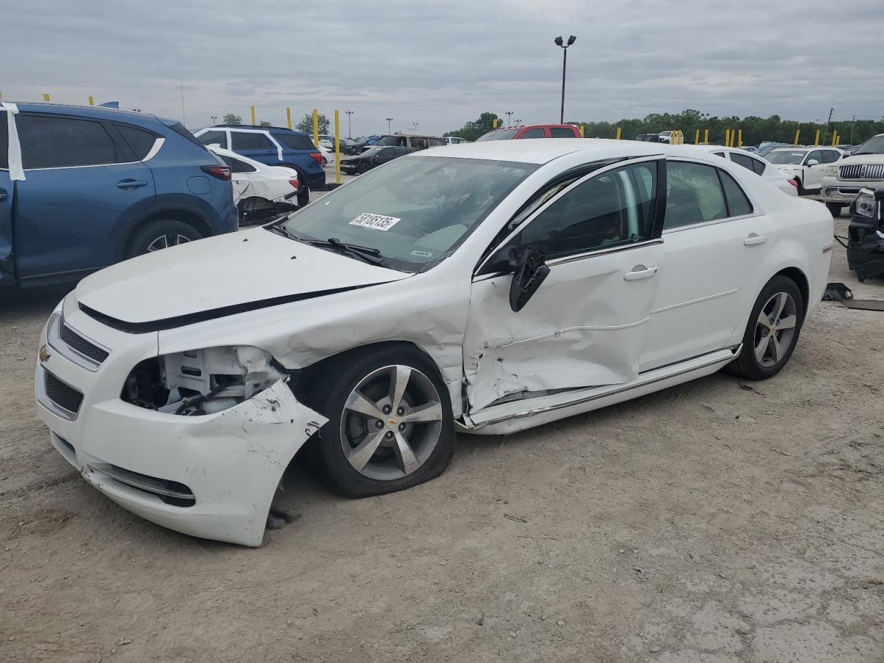 CHEVROLET MALIBU 1LT
