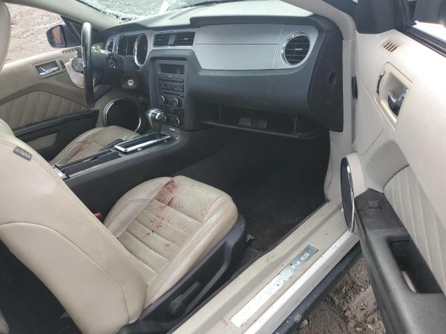 2011 FORD MUSTANG - 1ZVBP8AM9B5130219