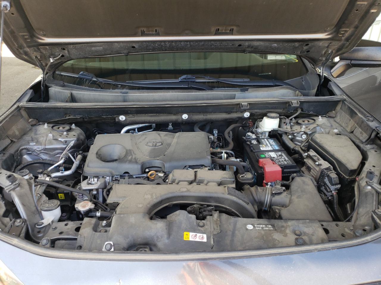 Lot #3305442161 2020 TOYOTA RAV4 LE