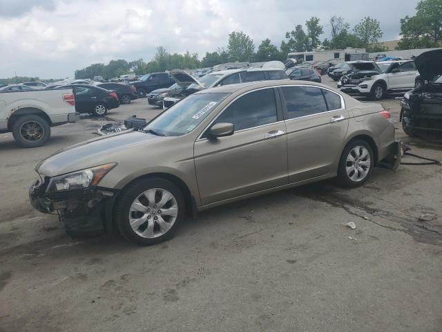 Vin: 5kbcp3f88ab005880, lot: 56700915, honda accord exl 2010 img_1