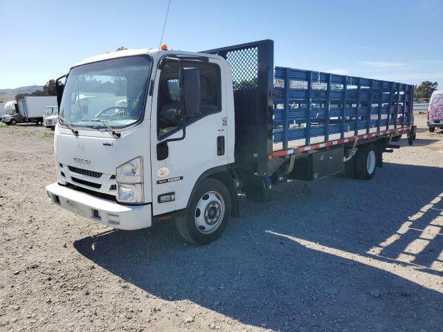 ISUZU NRR 2017 white tilt cab diesel JALE5W162H7300072 photo #1