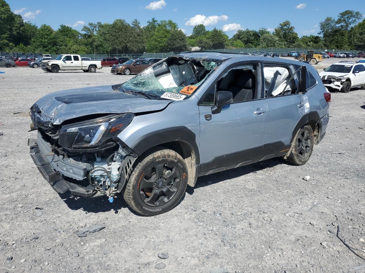 SUBARU FORESTER WILDERNESS