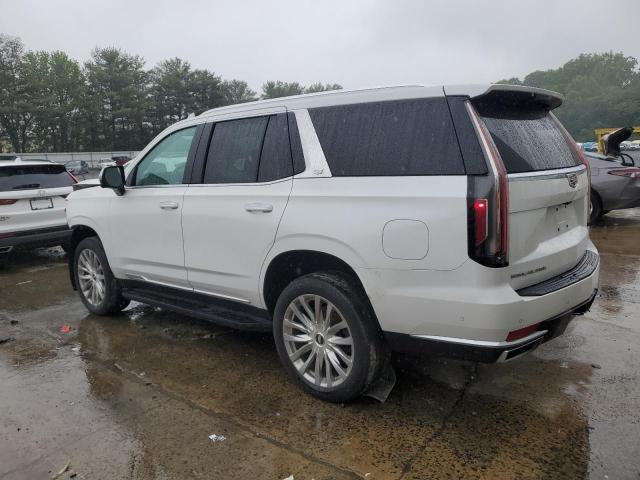 2022 CADILLAC ESCALADE P 1GYS4BKL3NR164999